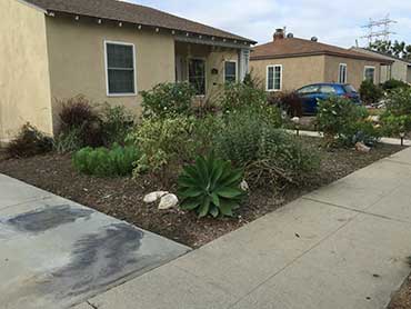 Curb Appeal Landscapes - Our Works